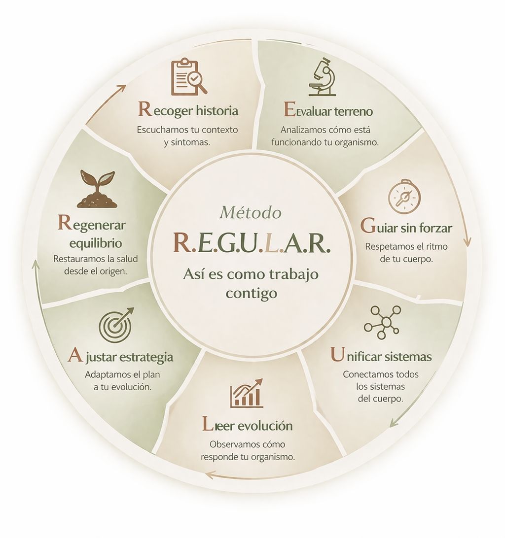 nutricionista en Cáceres con método propio R.E.G.U.L.A.R.